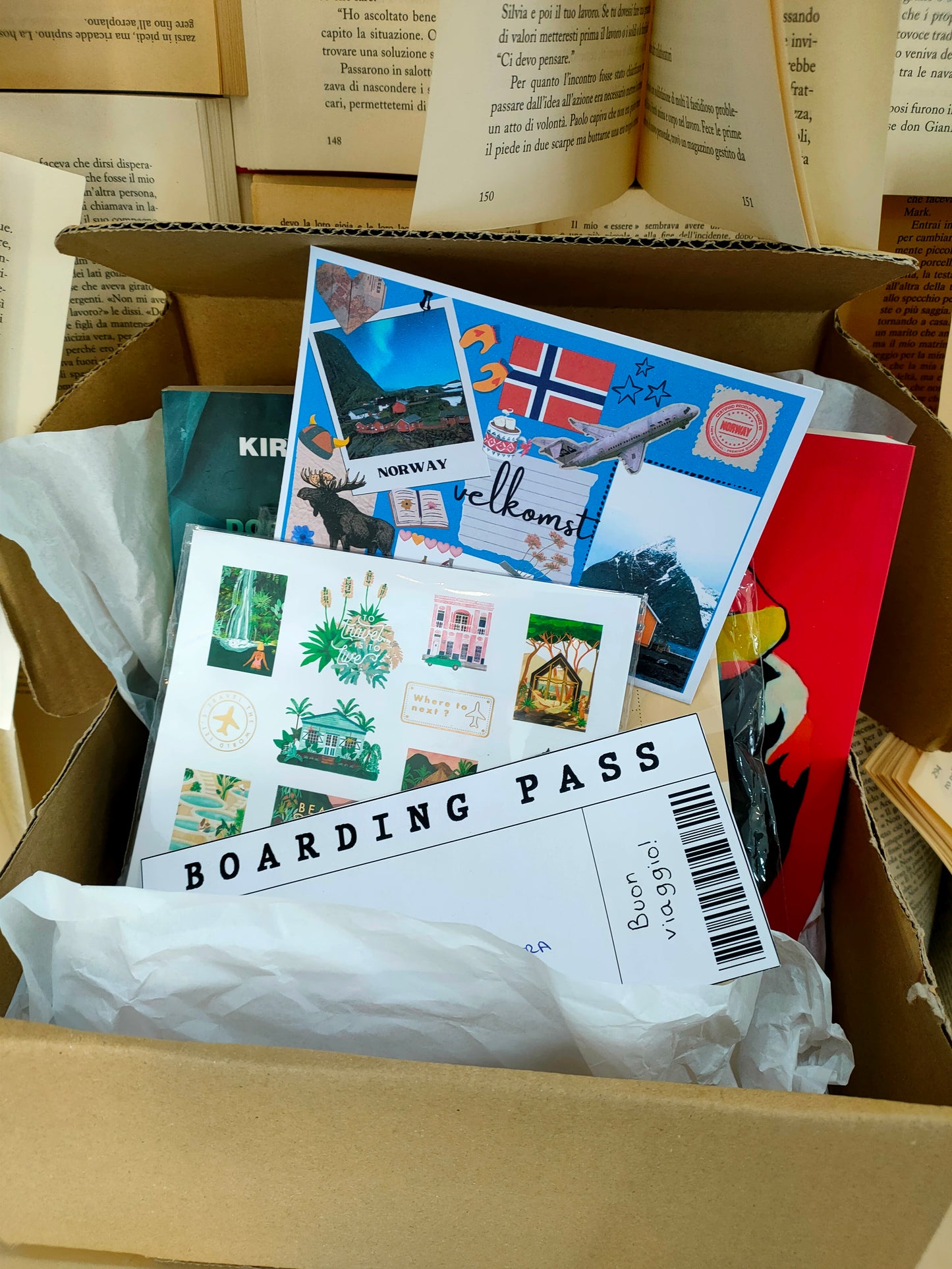 BOX LETTERARIA: VIAGGIO IN NORVEGIA