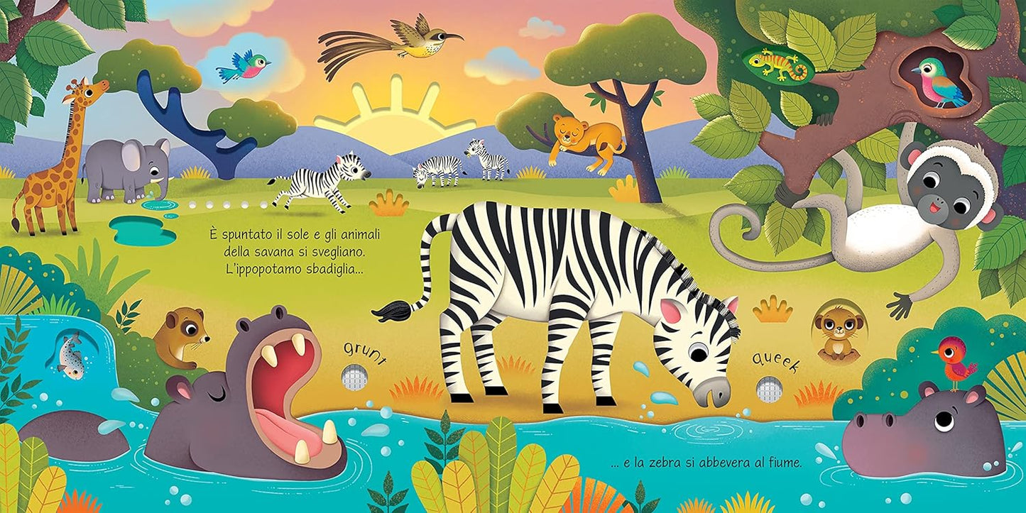ANIMALI SELVATICI. LIBRI TATTILI SONORI