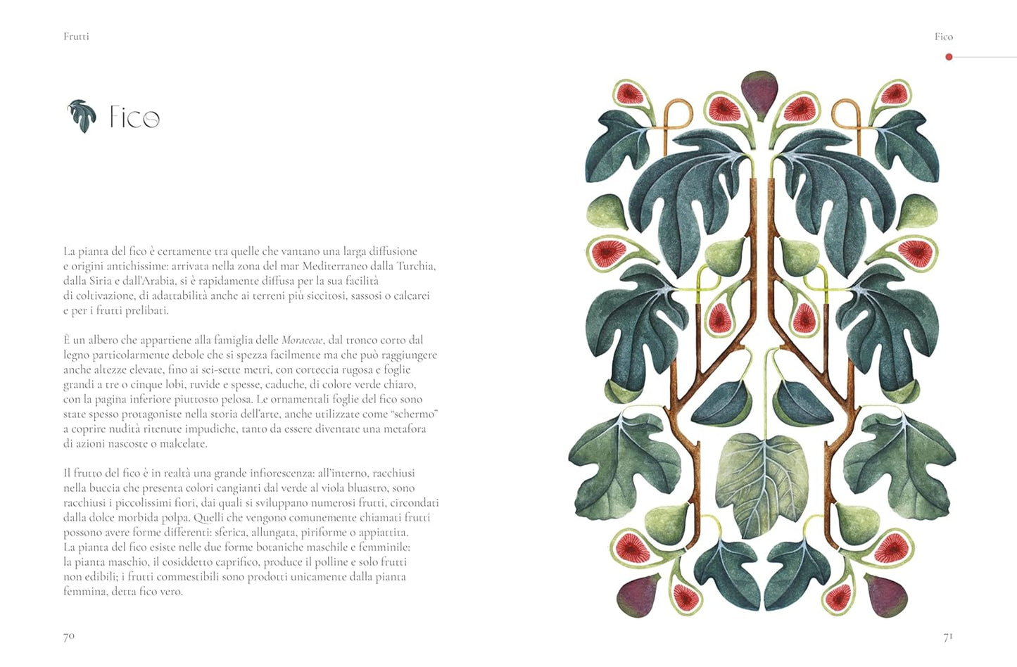 LA BOTANICA DEI PROFUMI • N. Pezza, G. Cairo