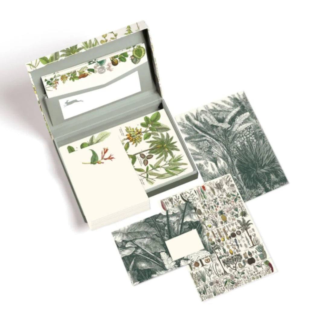 BOX CARTA DA LETTERE