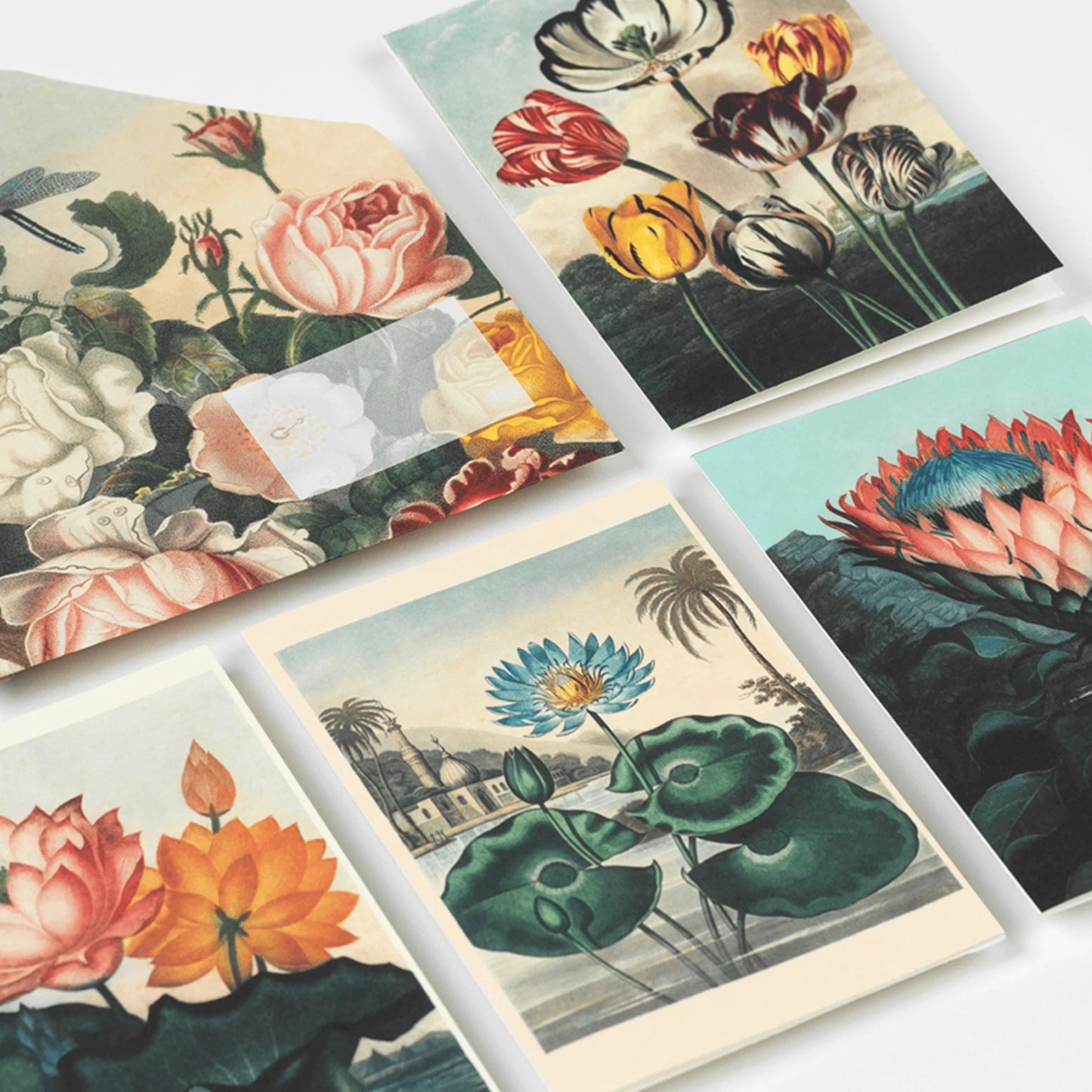 CREATIVE PAPER BOOK. FLOWERS