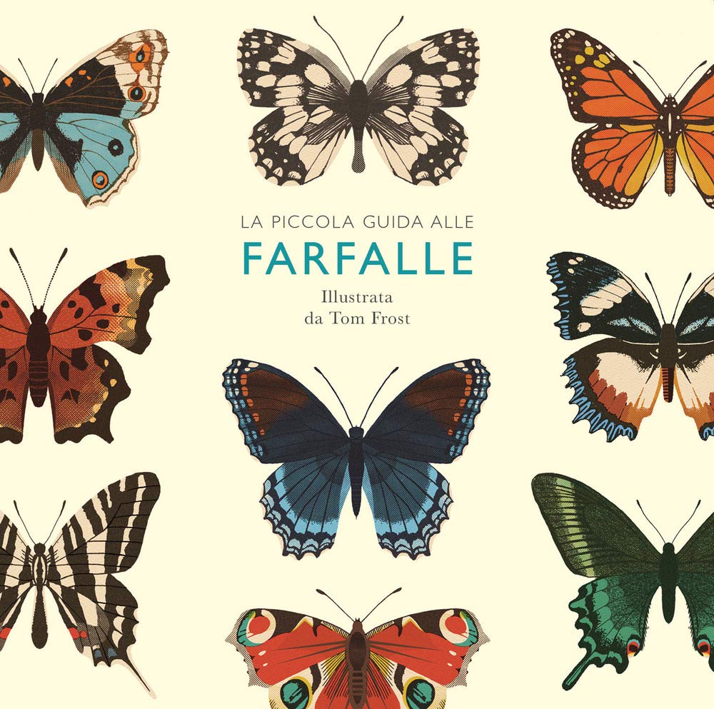 PICCOLA GUIDA ALLE FARFALLE • Alison Davies