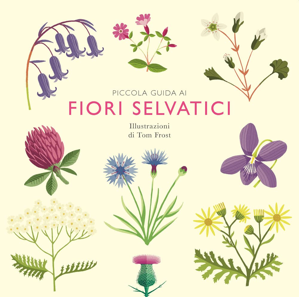 PICCOLA GUIDA AI FIORI SELVATICI • Alison Davies