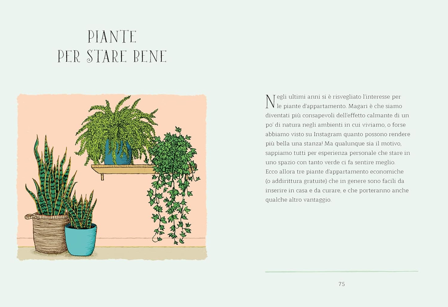 IL GIARDINIERE DA DAVANZALE. 50 piante facili da coltivare per trasformare la casa • Liz Marvin