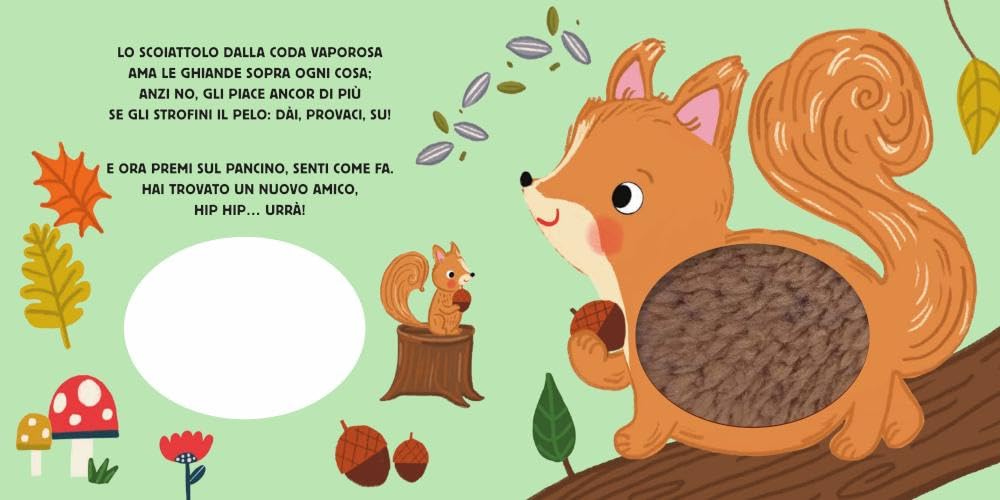 HAI MAI ACCAREZZATO UN ORSO?