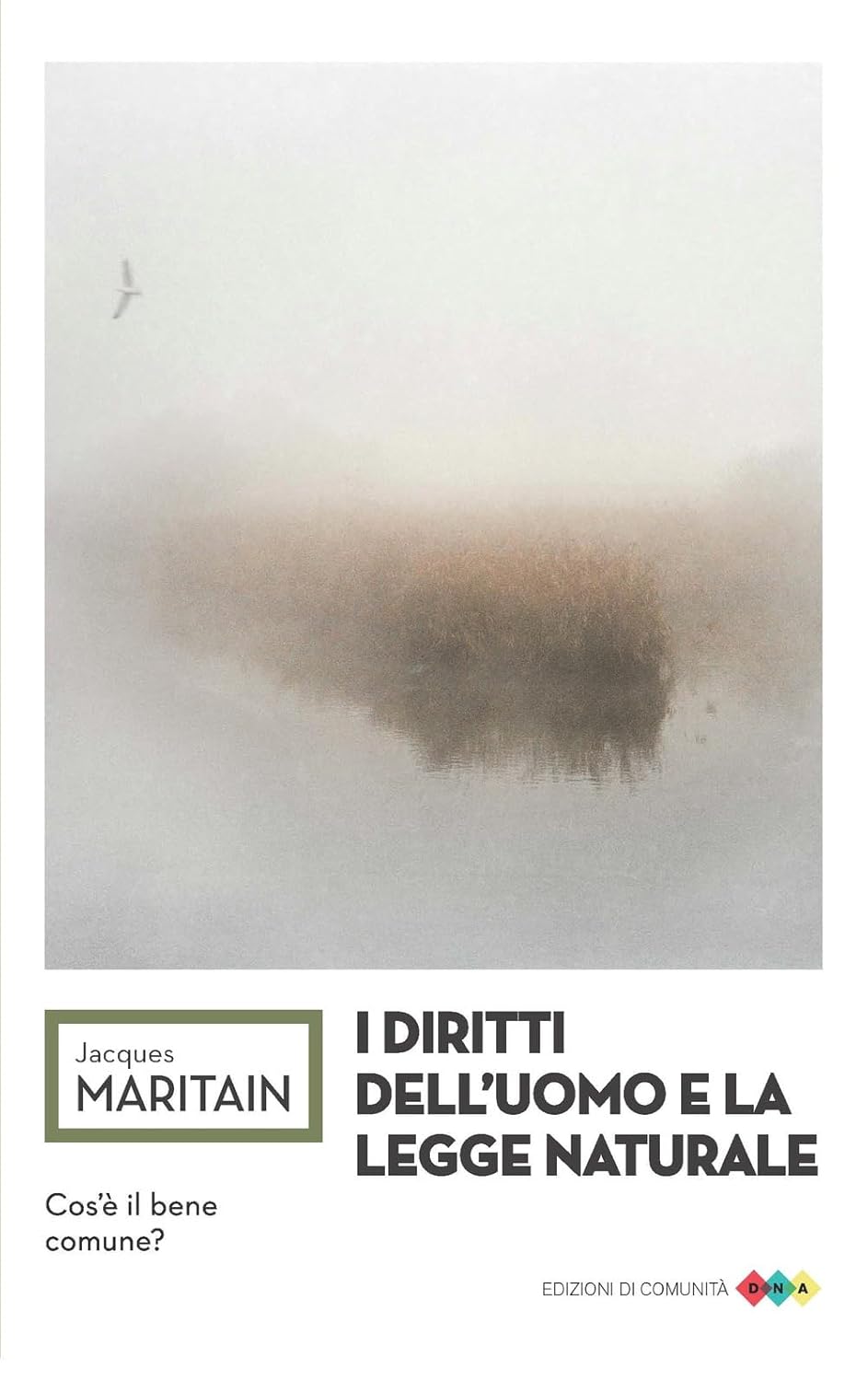 I DIRITTI DELL'UOMO E LA LEGGE NATURALE • Jacques Maritain