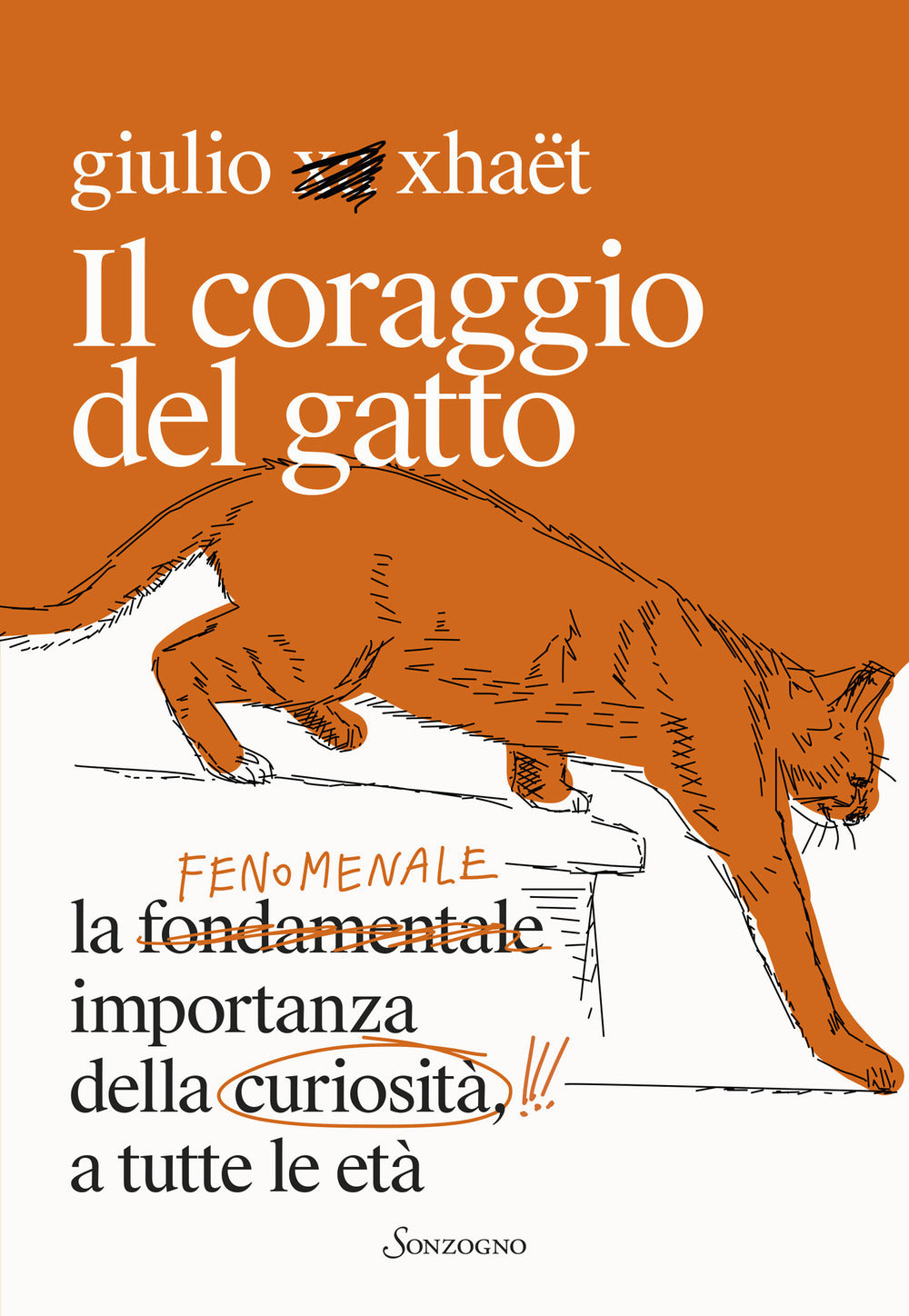 IL CORAGGIO DEL GATTO • Giulio Xhaet