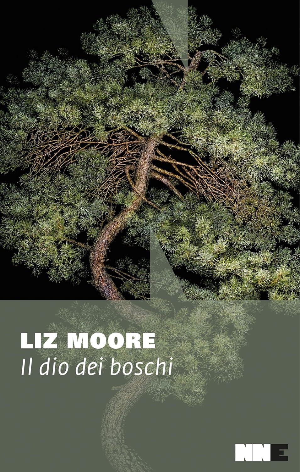 IL DIO DEI BOSCHI • Liz Moore
