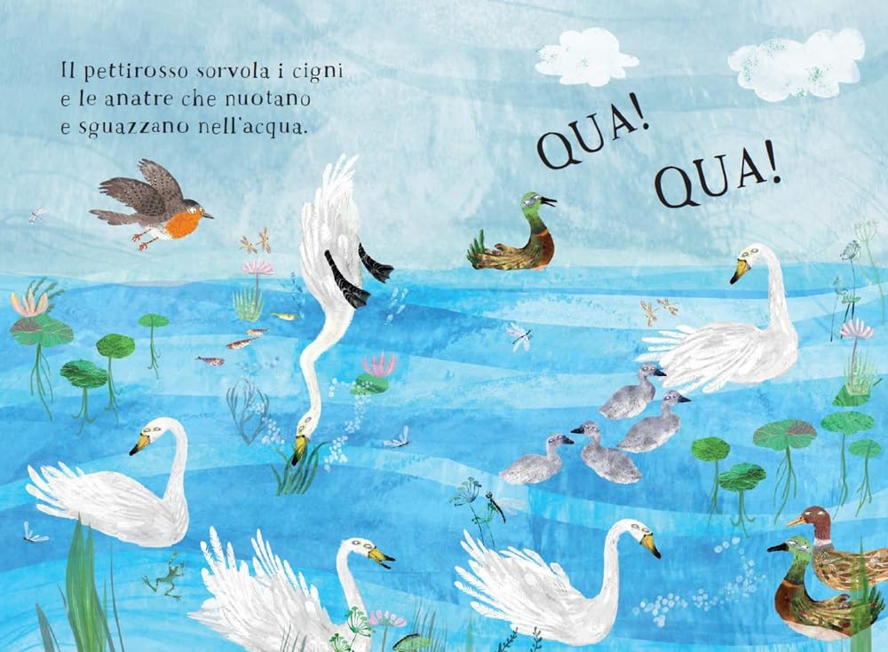 IL PICCOLO LIBRO DEGLI UCCELLI • Yuval Zommer