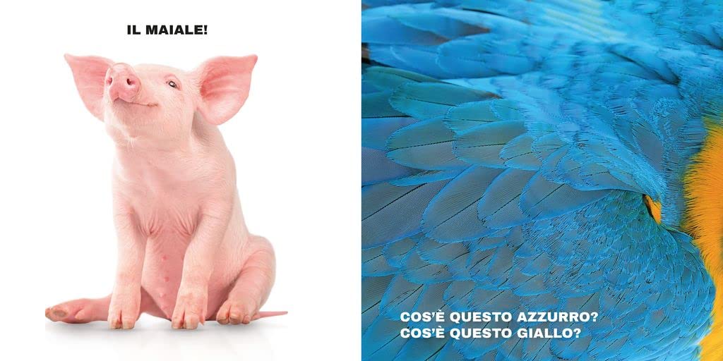 INDOVINA CHI È • C. Petit, E. Mazzoli