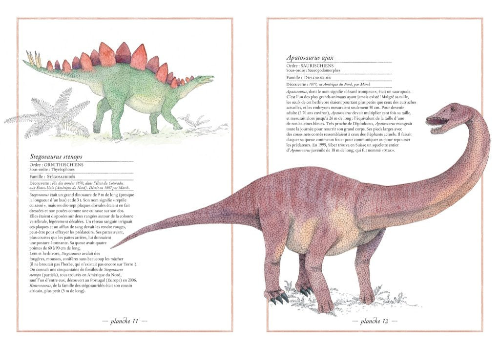 INVENTARIO ILLUSTRATO DEI DINOSAURI • M. Tchoukriel, V. Aladjidi