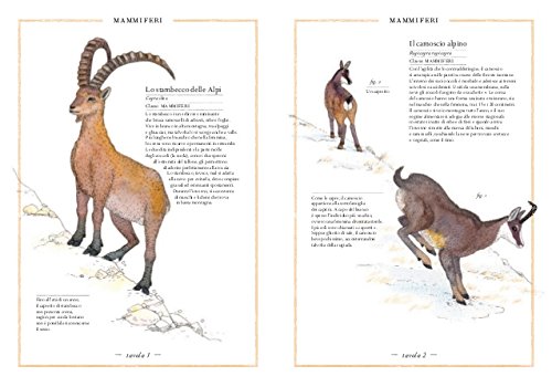 INVENTARIO ILLUSTRATO DELLA MONTAGNA • V. Aladjidi, E. Tchoukriel