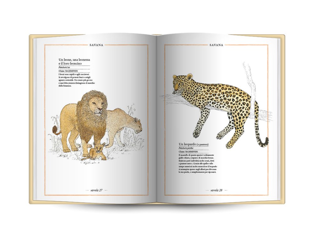 INVENTARIO ILLUSTRATO DEGLI ANIMALI • V. Aladjidi, E. Tchoukriel