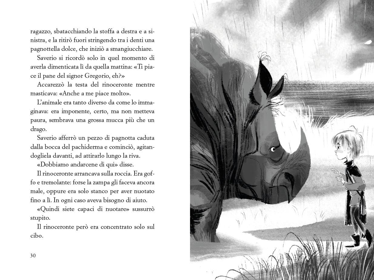 I RINOCERONTI NON SANNO NUOTARE • Daniele Daccò