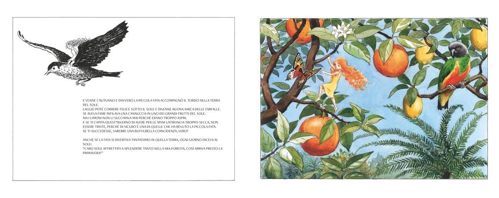 L'UOVO DI SOLE • Elsa Beskow