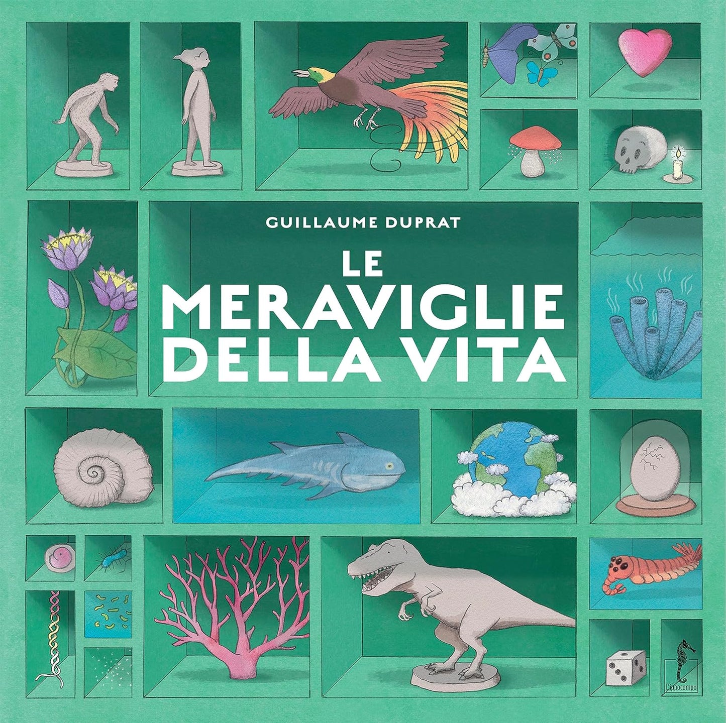 LE MERAVIGLIE DELLA VITA • Guillaume Duprati