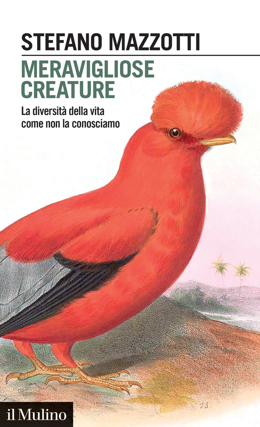 MERAVIGLIOSE CREATURE • Stefano Mazzotti