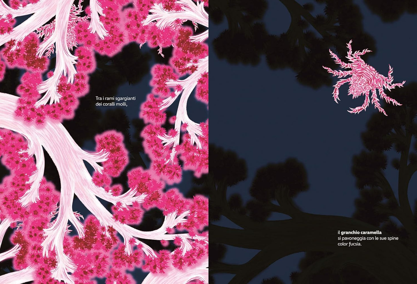 NASCOSTI • Amandine Delaunay