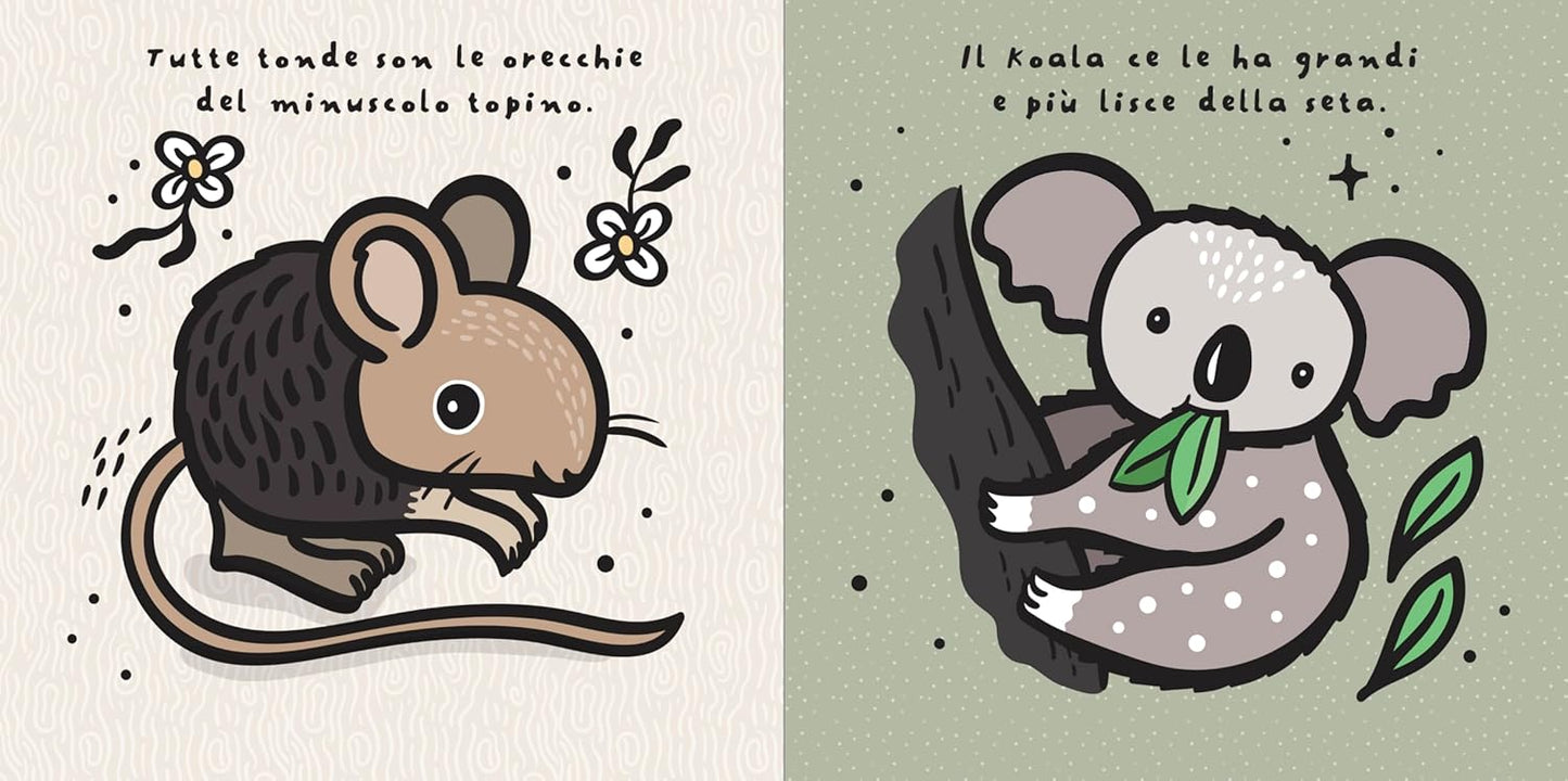 ORECCHIE. Tocca e senti