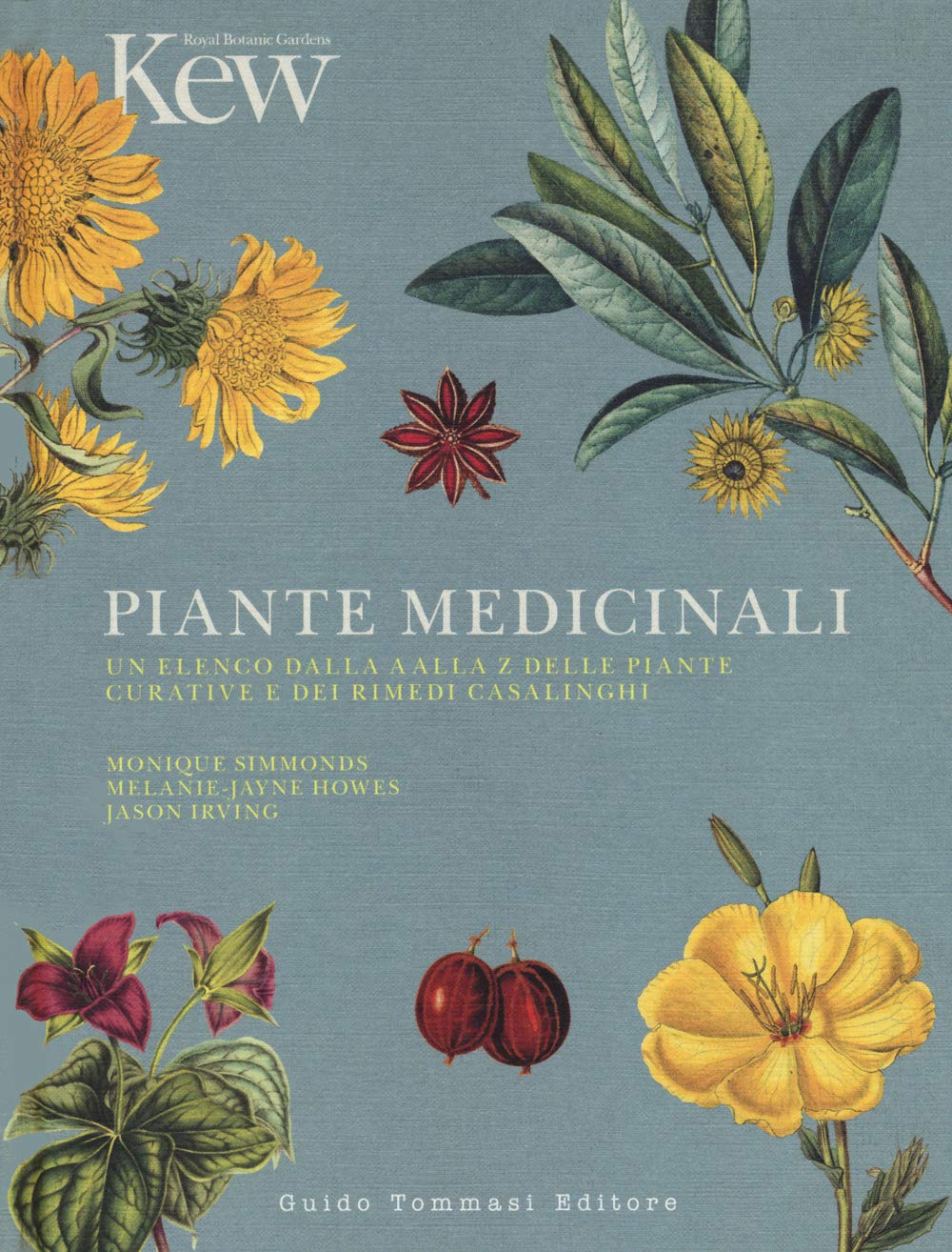 PIANTE MEDICINALI. Un elenco dalla A alla Z delle piante curative e dei rimedi casalinghi • Autori Vari