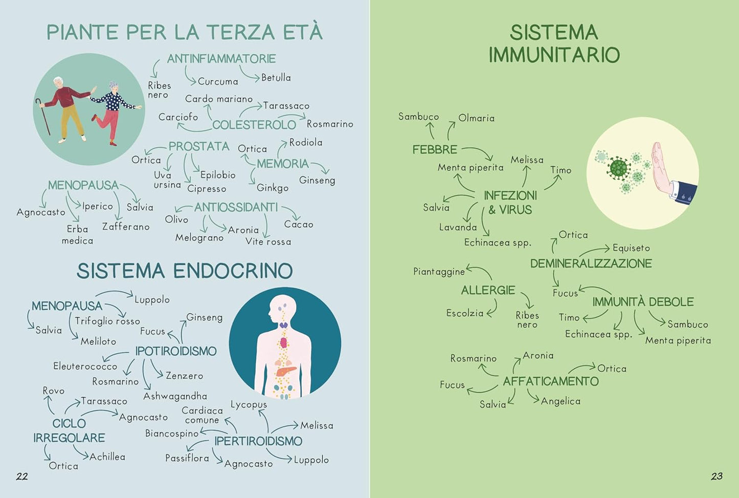 PICCOLA GUIDA DELLE PIANTE OFFICINALI • Anna Borowski