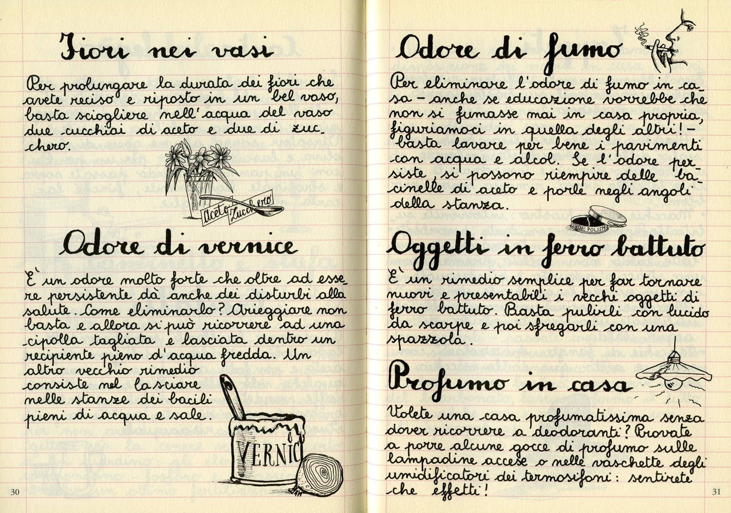 IL QUADERNO DEI RIMEDI PER LA CASA. I consigli della nonna • Paola Fantin