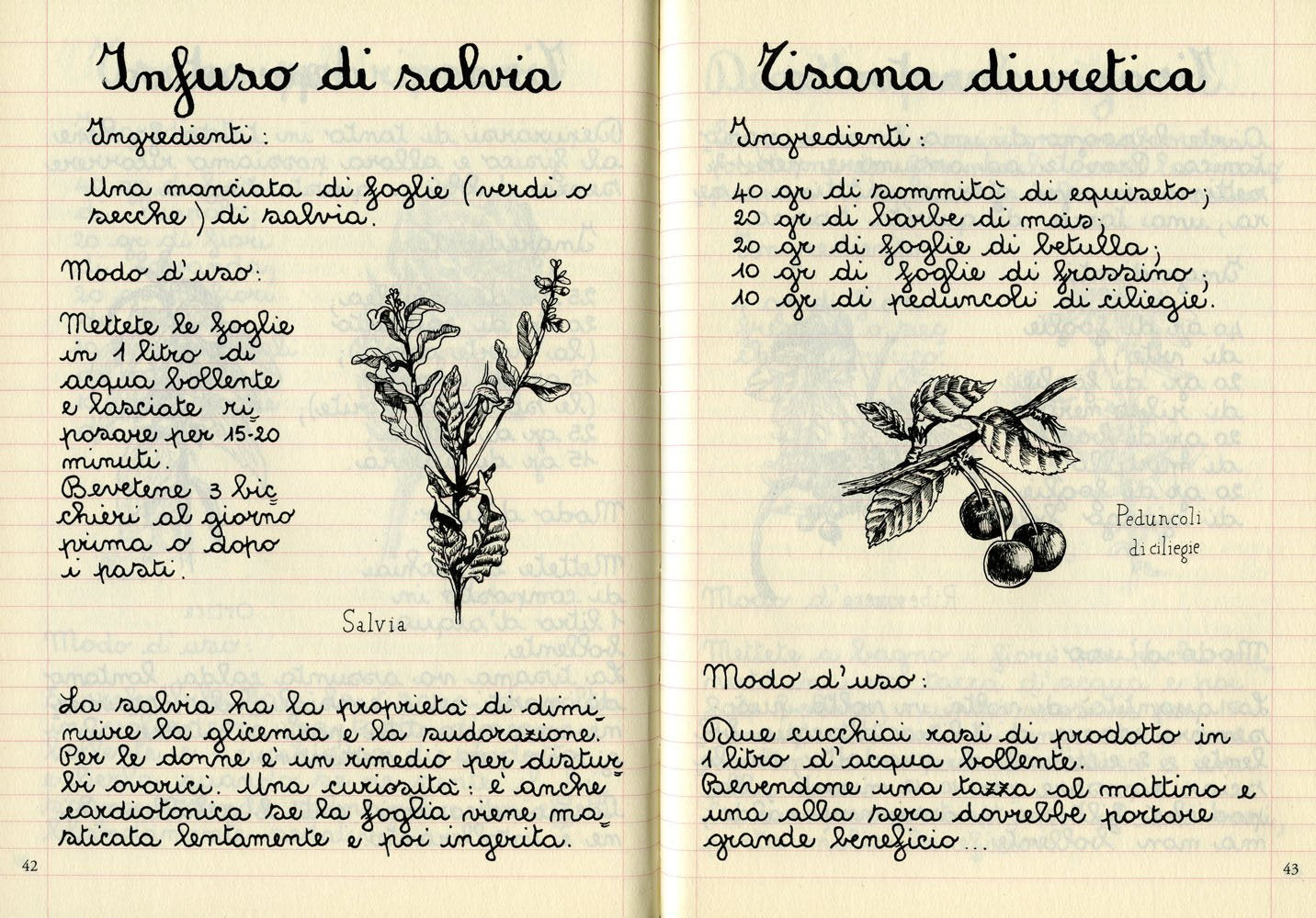 IL QUADERNO DELLE TISANE DI UNA VOLTA. Decotti e infusi per star bene