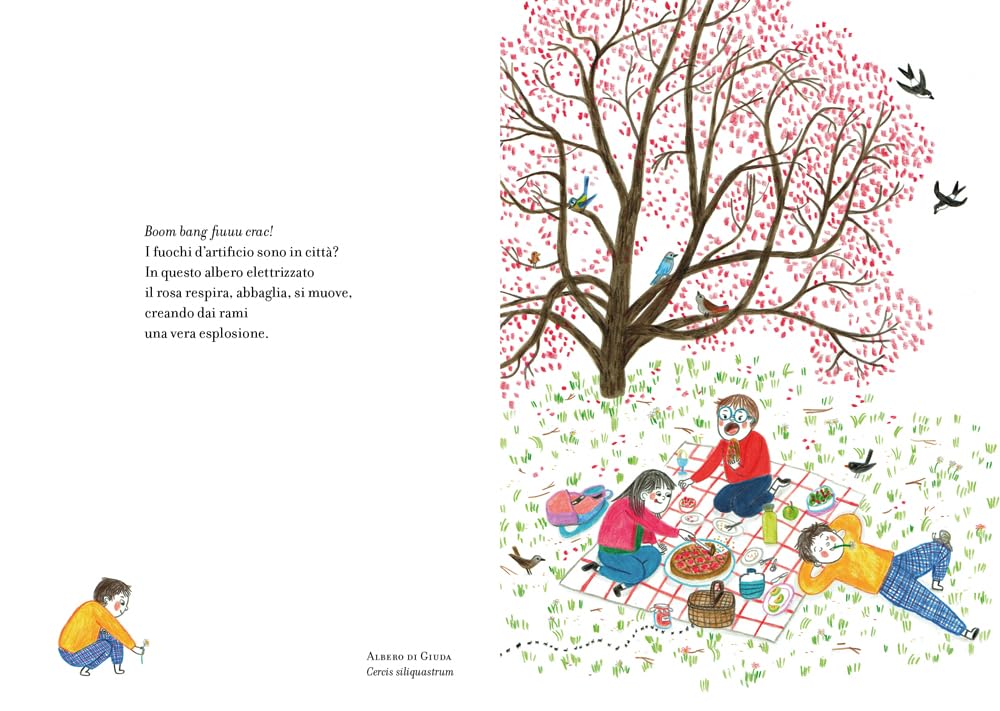 UN ANNO TRA GLI ALBERI • V. Levrini, I. Penazzi
