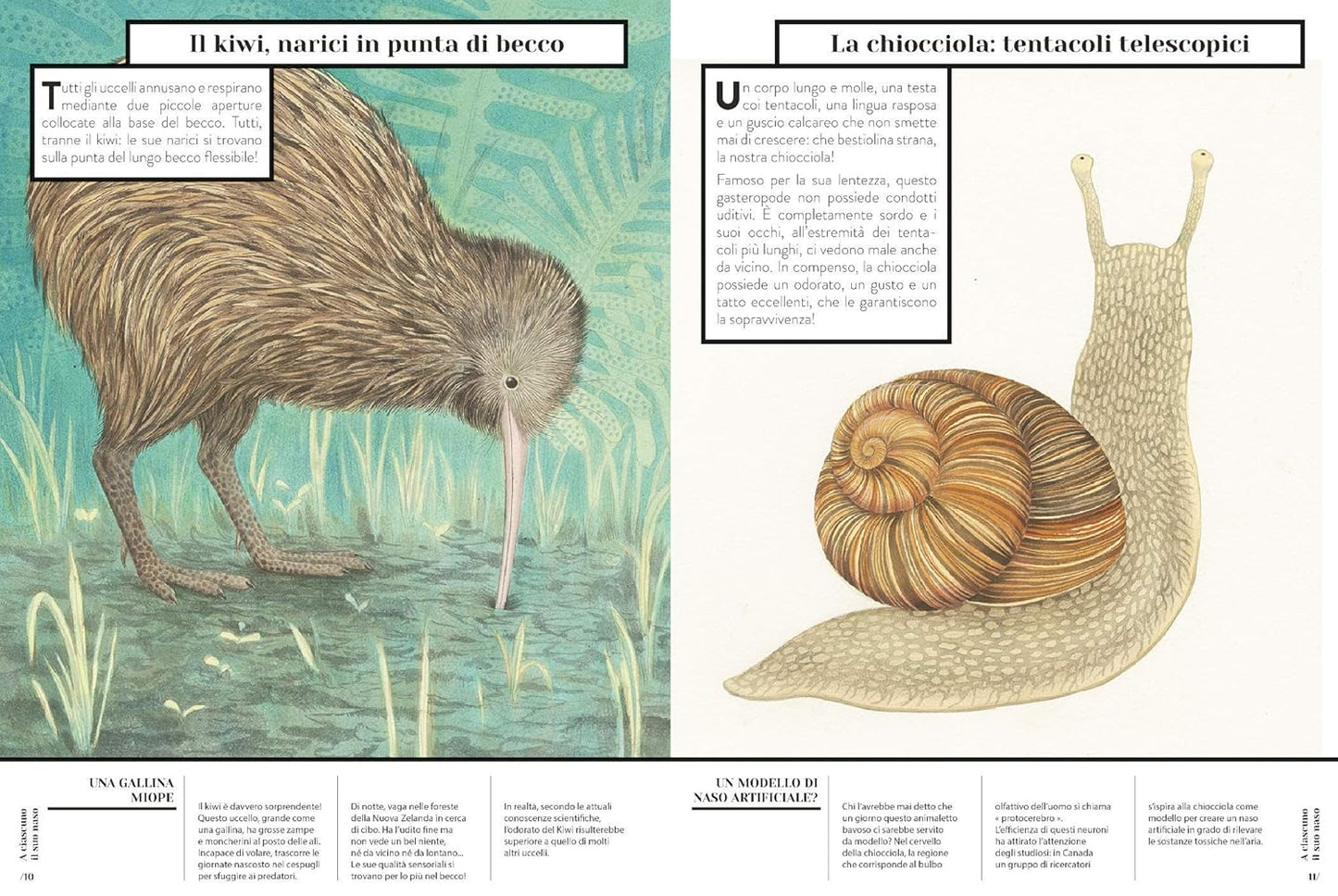 ZOODORATO: COME SENTONO GLI ANIMALI • E. Figueras, C. De Gastold