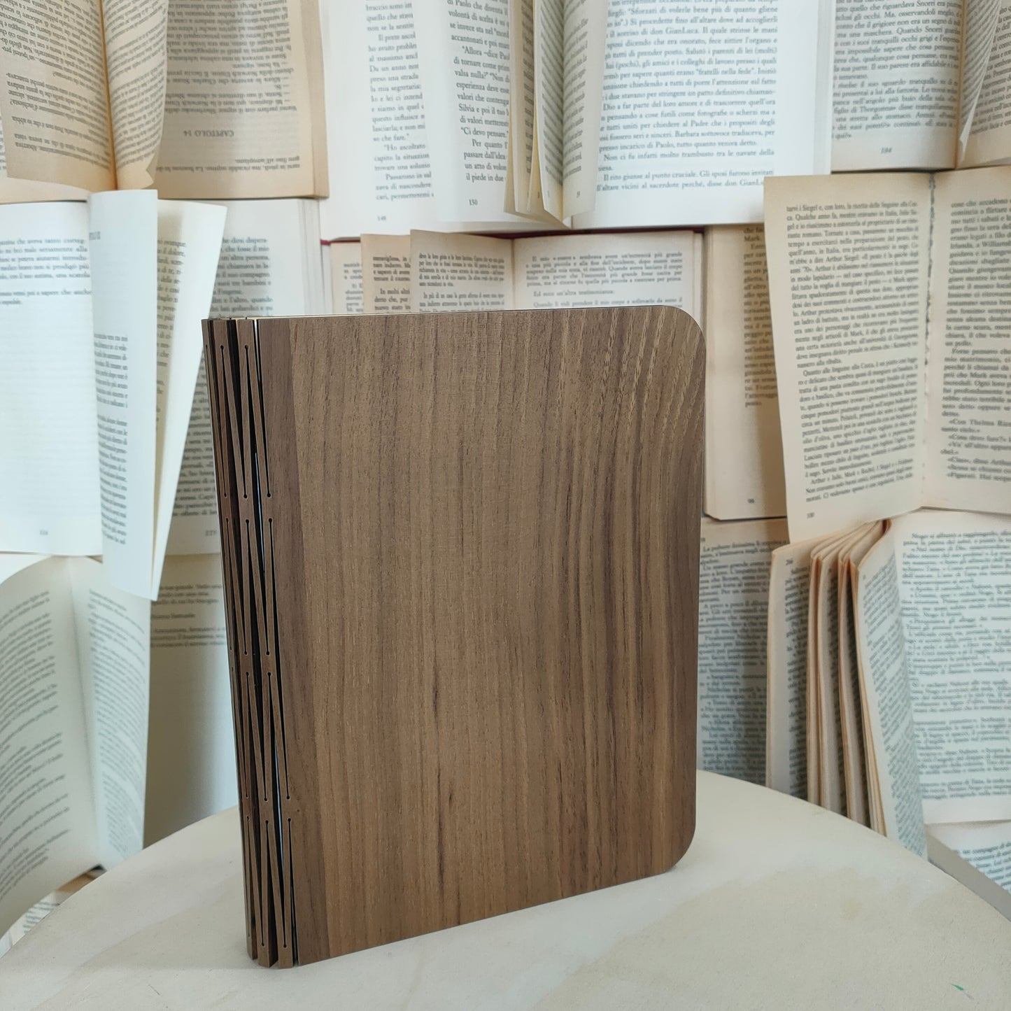 LIBRO LAMPADA