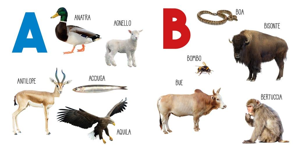 ABC DEGLI ANIMALI