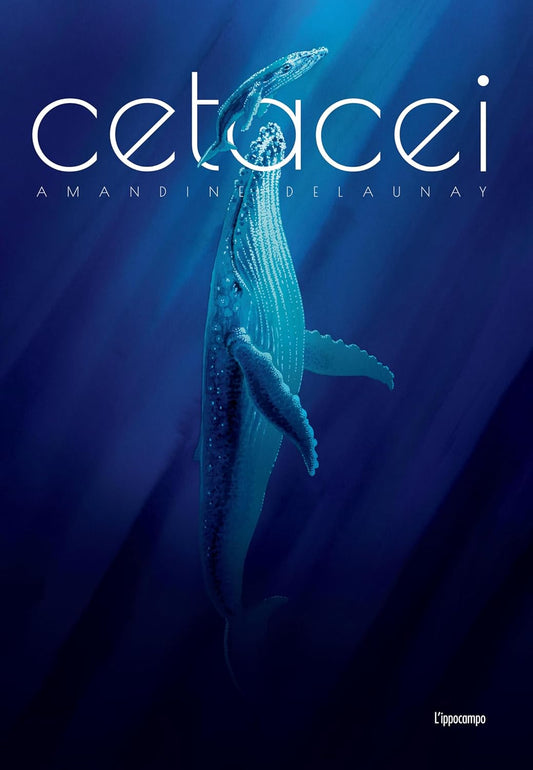 CETACEI • Amandine Delaunay