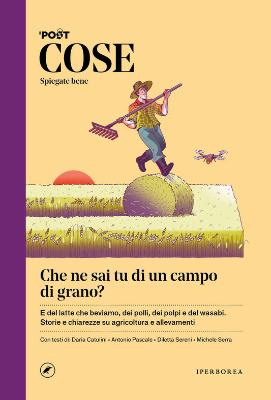 COSE SPIEGATE BENE: CHE NE SAI TU DI UN CAMPO DI GRANO?