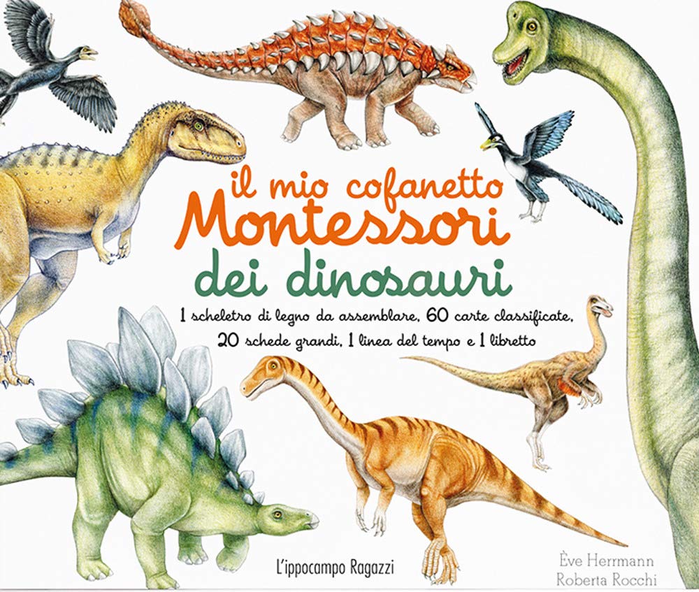 IL MIO COFANETTO MONTESSORI DEI DINOSAURI