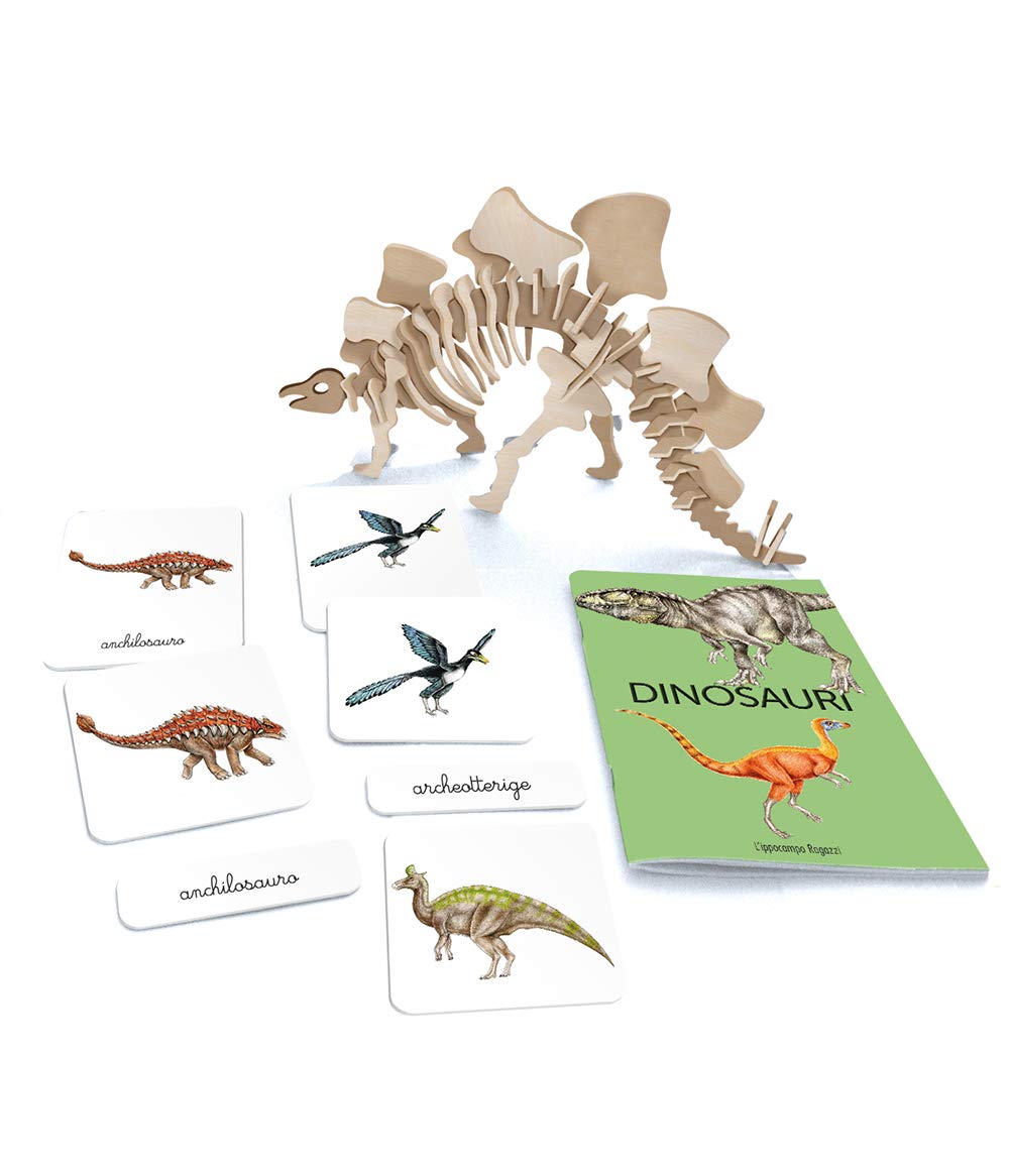 IL MIO COFANETTO MONTESSORI DEI DINOSAURI