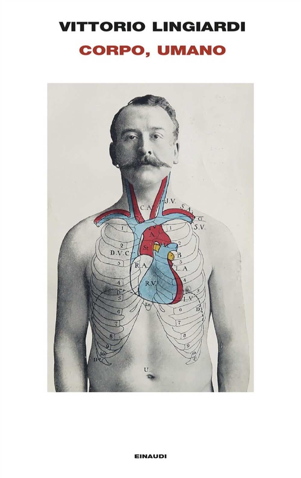 CORPO, UMANO • Vittorio Lingiardi