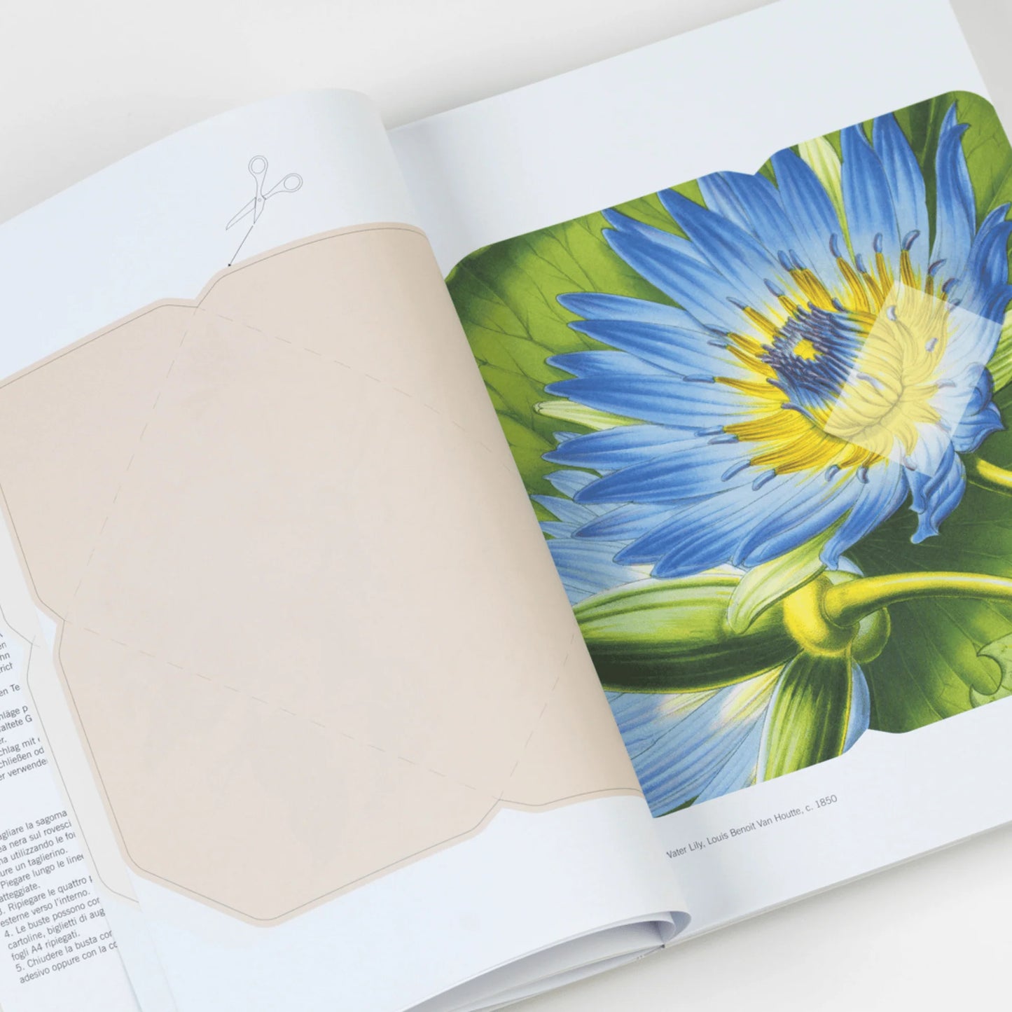 CREATIVE PAPER BOOK. FLOWERS