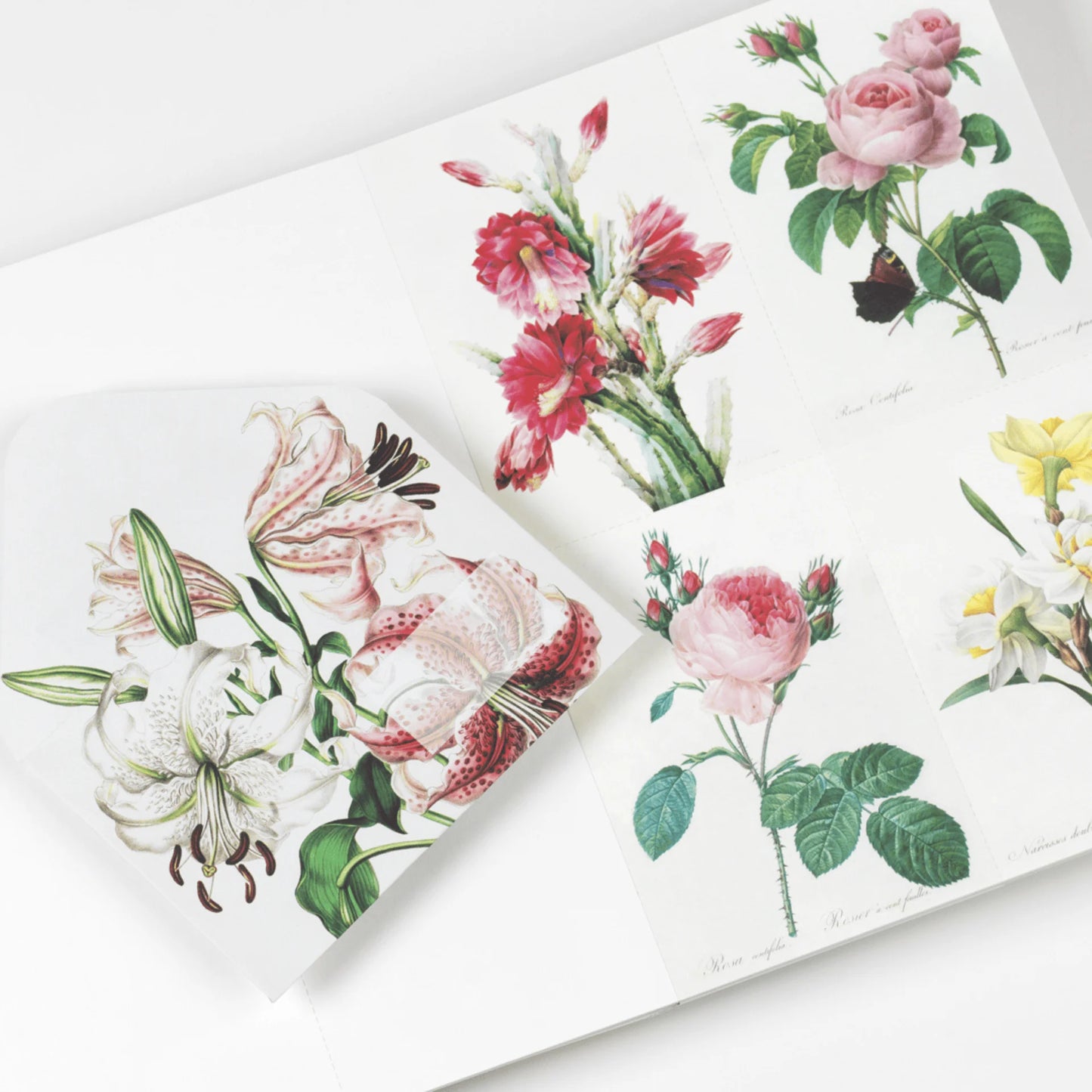 CREATIVE PAPER BOOK. FLOWERS