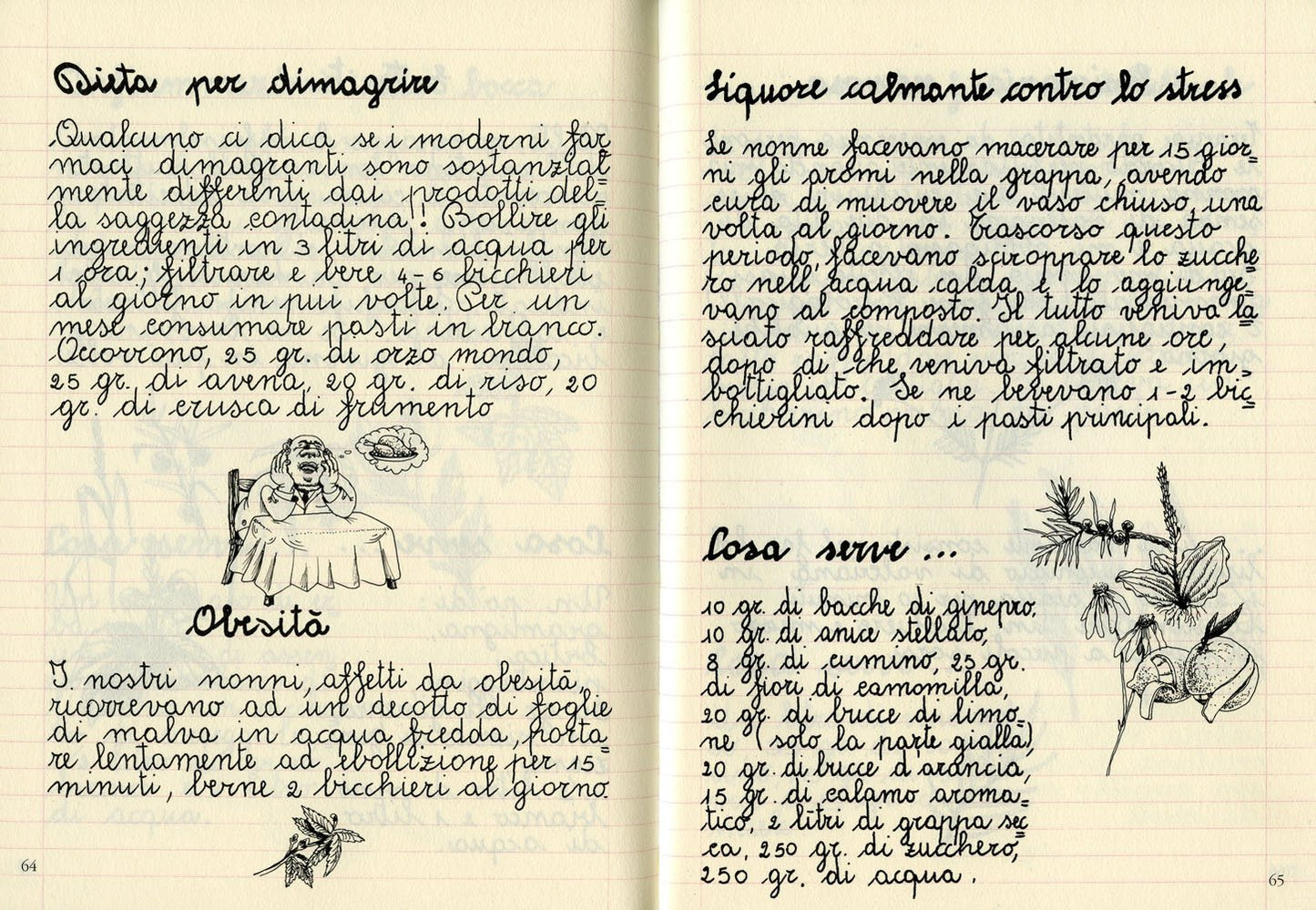 IL QUADERNO DELLE ERBE • pro Loco di Sarmede
