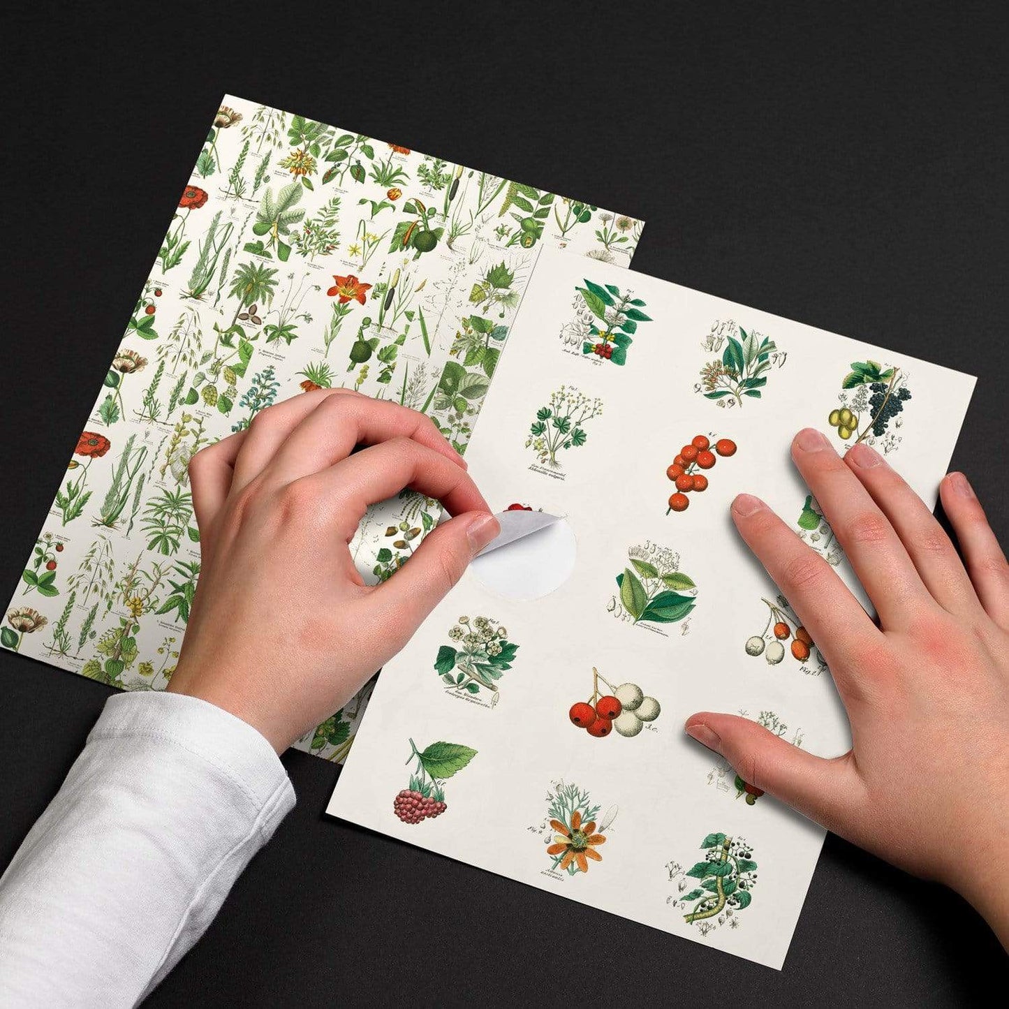 STICKER BOOK. FLORA