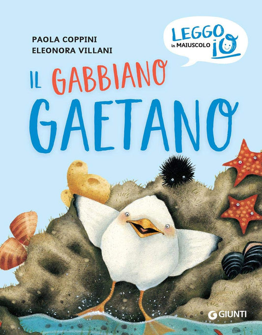 IL GABBIANO GAETANO • Paola Coppini