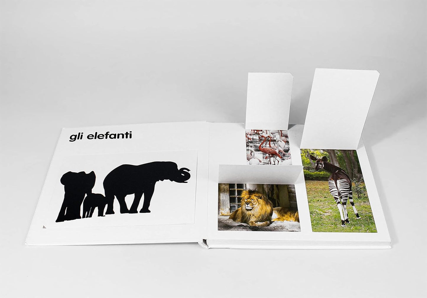 GLI ANIMALI SELVAGGI • François Delebecque