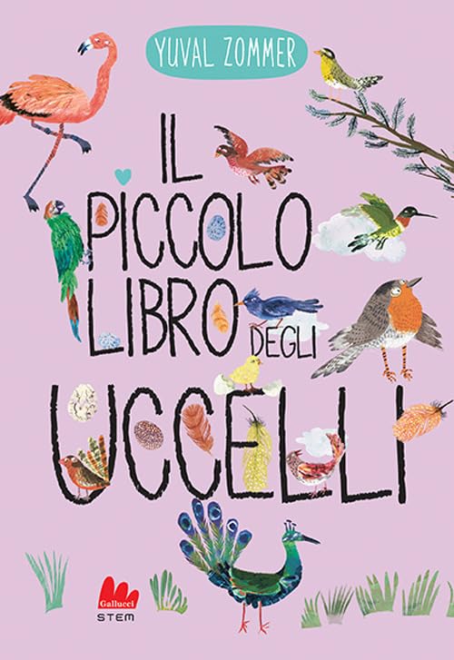 IL PICCOLO LIBRO DEGLI UCCELLI • Yuval Zommer