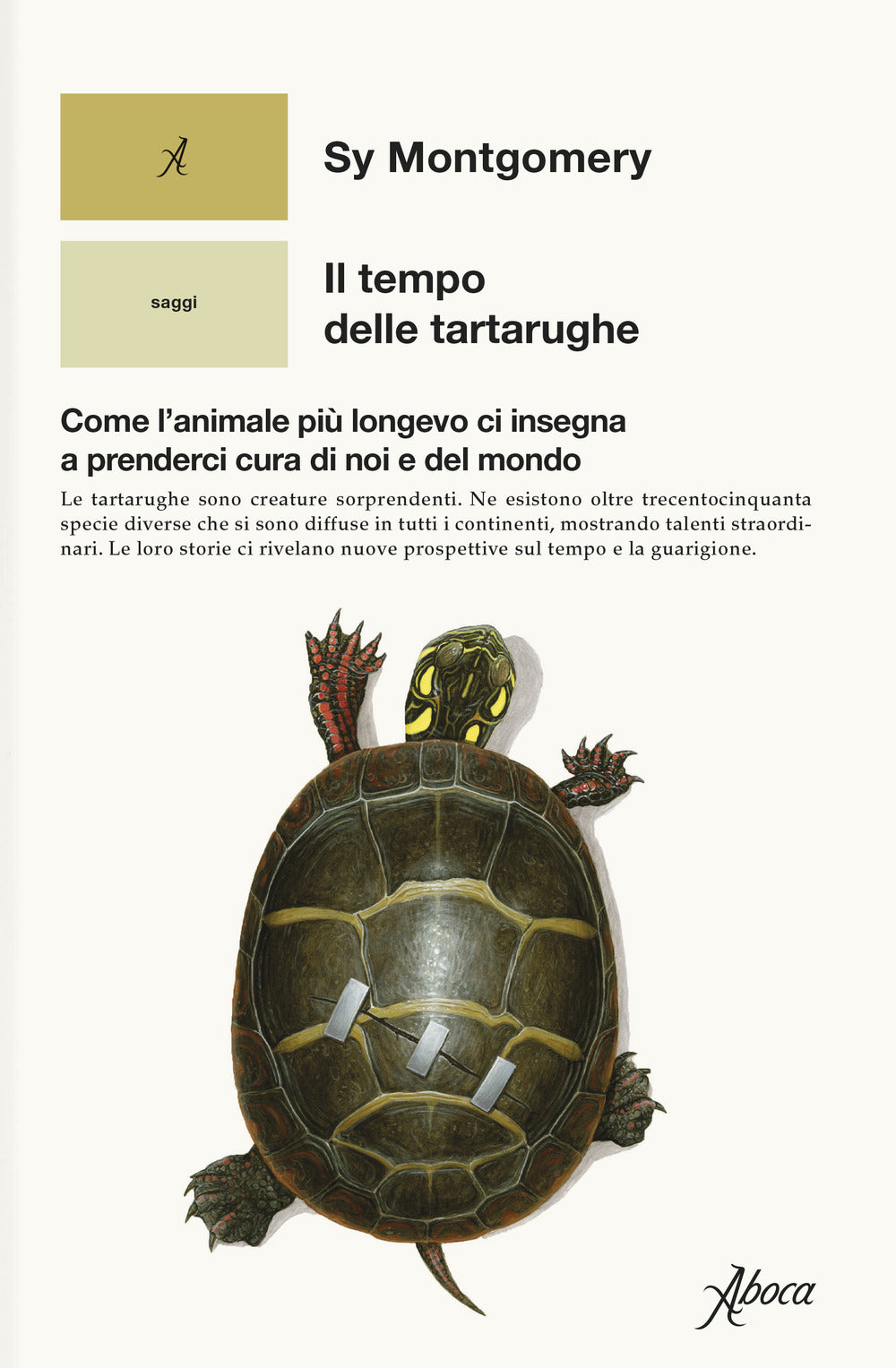 IL TEMPO DELLE TARTARUGHE • Sy Montgomery