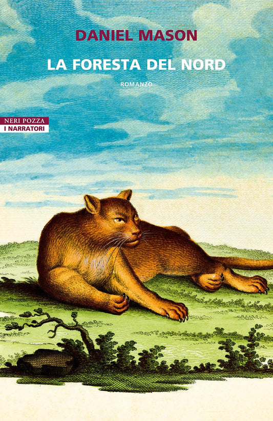 LA FORESTA DEL NORD • Daniel Mason