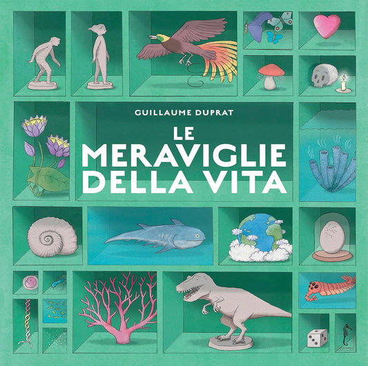 LE MERAVIGLIE DELLA VITA • Guillaume Duprati