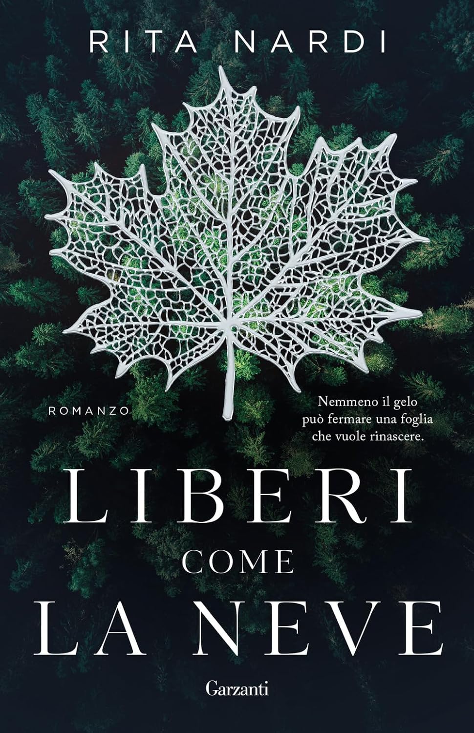 LIBERI COME LA NEVE • Rita Nardi