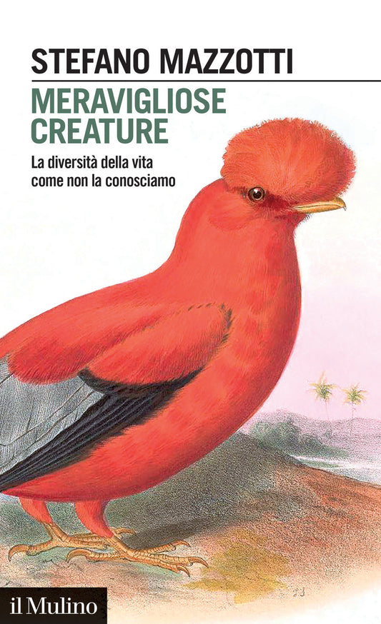 MERAVIGLIOSE CREATURE • Stefano Mazzotti