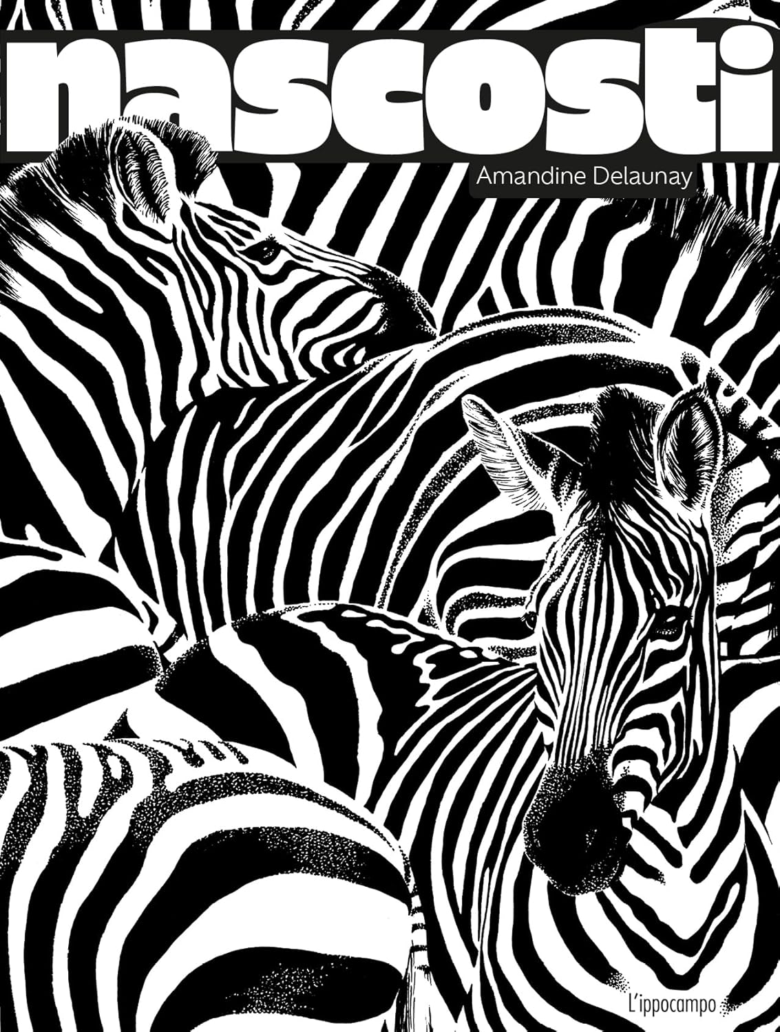 NASCOSTI • Amandine Delaunay