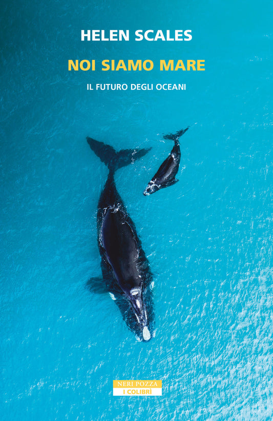 NOI SIAMO MARE • Helen Scales